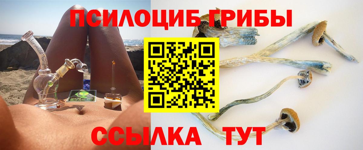 Псилоцибиновые грибы прущие грибы Сочи